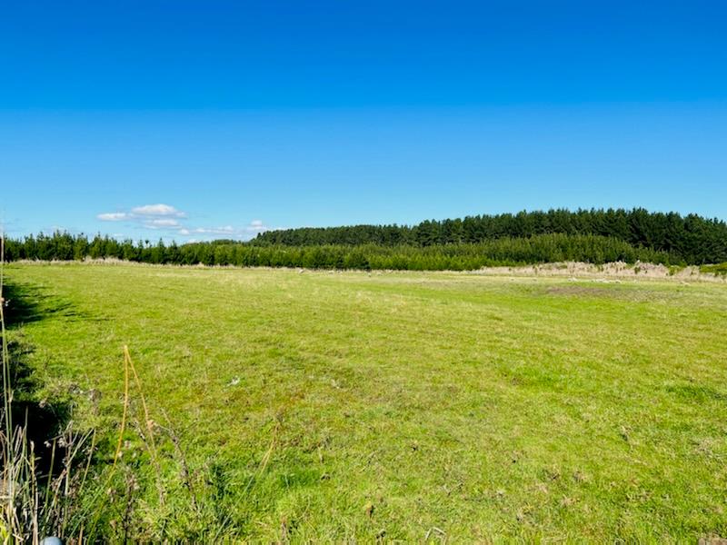 Team Lewis Properties for Sale in Marton, Bulls, Sanson & Feilding