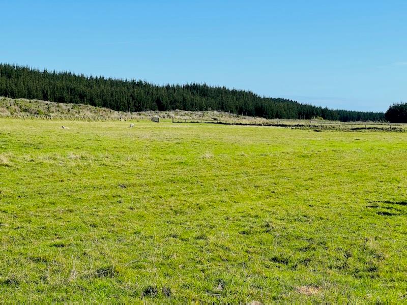 Team Lewis Properties for Sale in Marton, Bulls, Sanson & Feilding