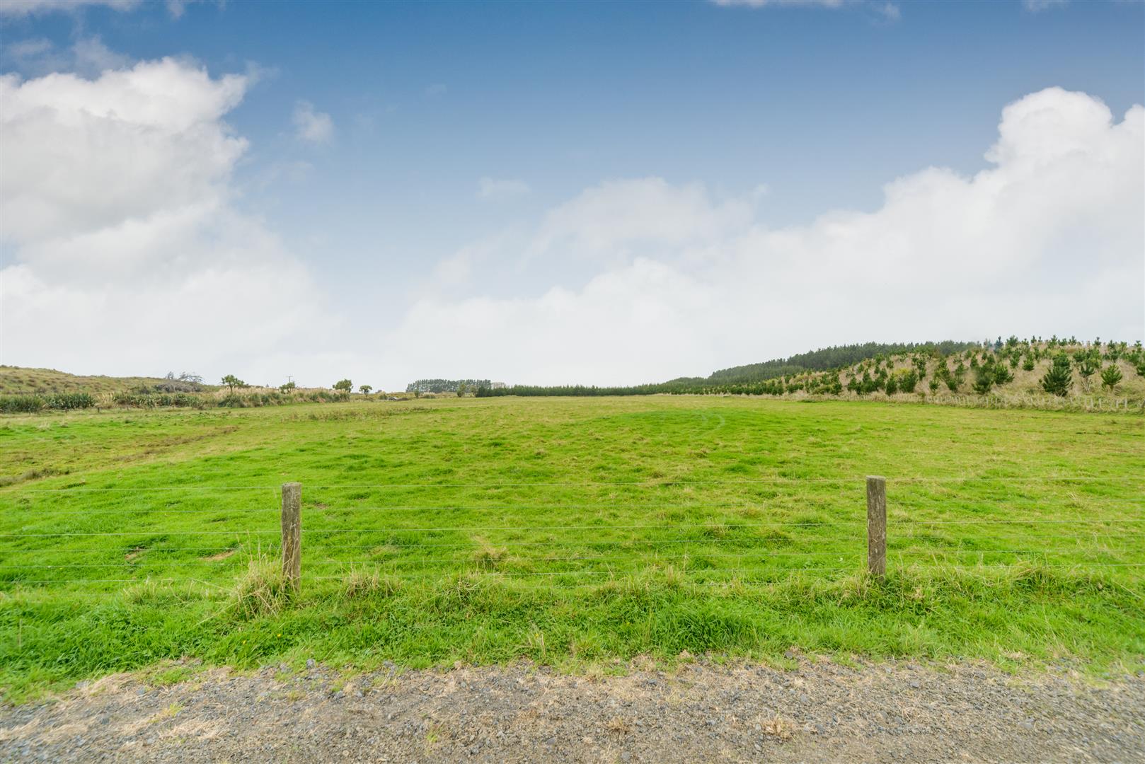 Team Lewis Properties for Sale in Marton, Bulls, Sanson & Feilding