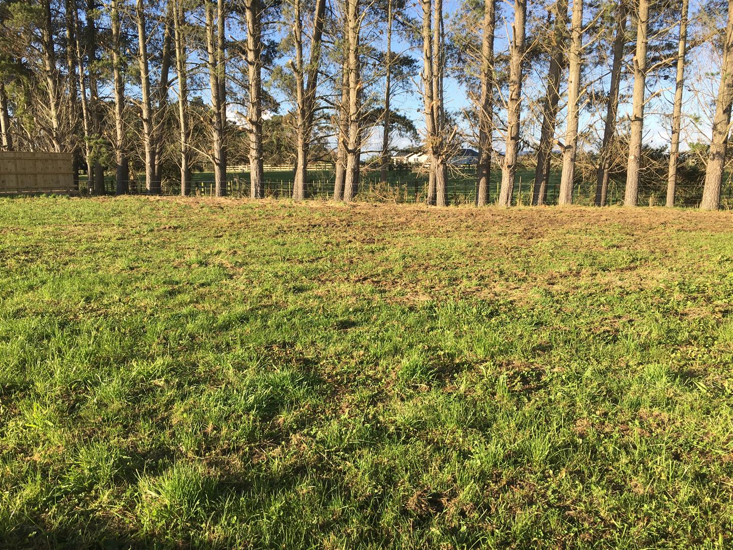 Team Lewis Properties for Sale in Marton, Bulls, Sanson & Feilding