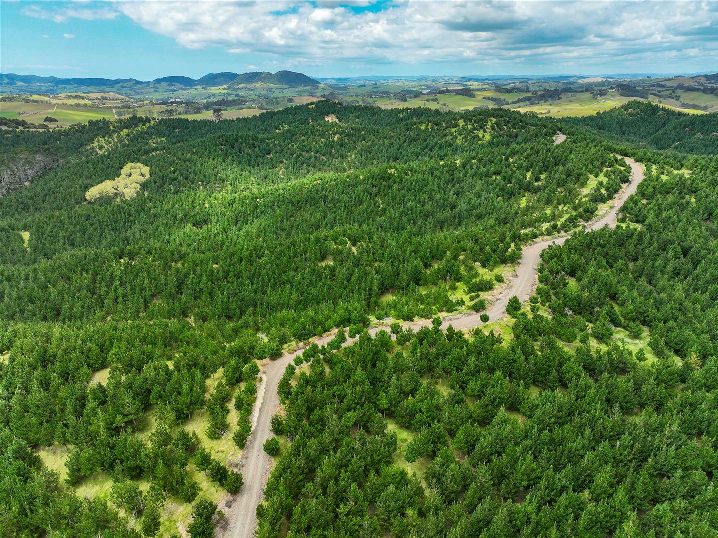 Maungaturoto Forest - UNDER CONTRACT