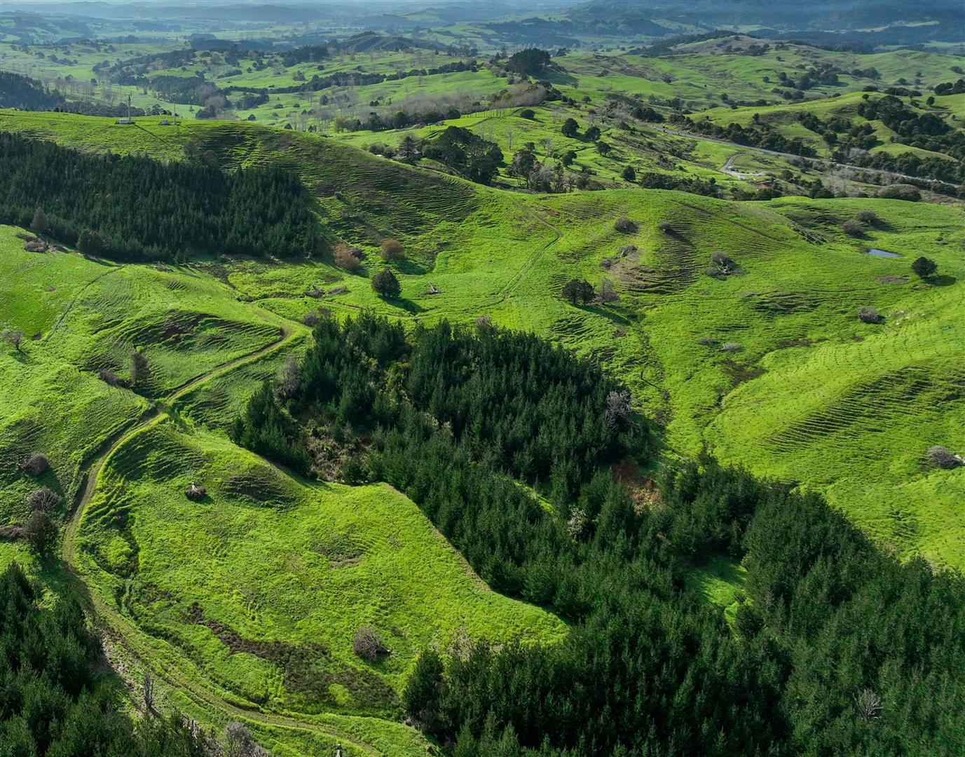 NZF Aggregation - Northland & Taranaki