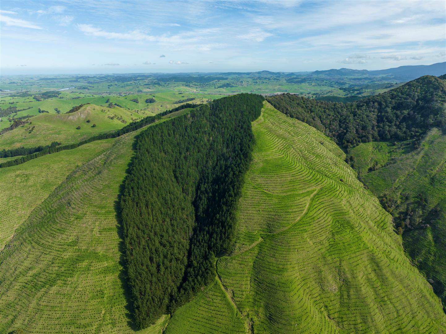 NZF Aggregation - UNDER CONTRACT