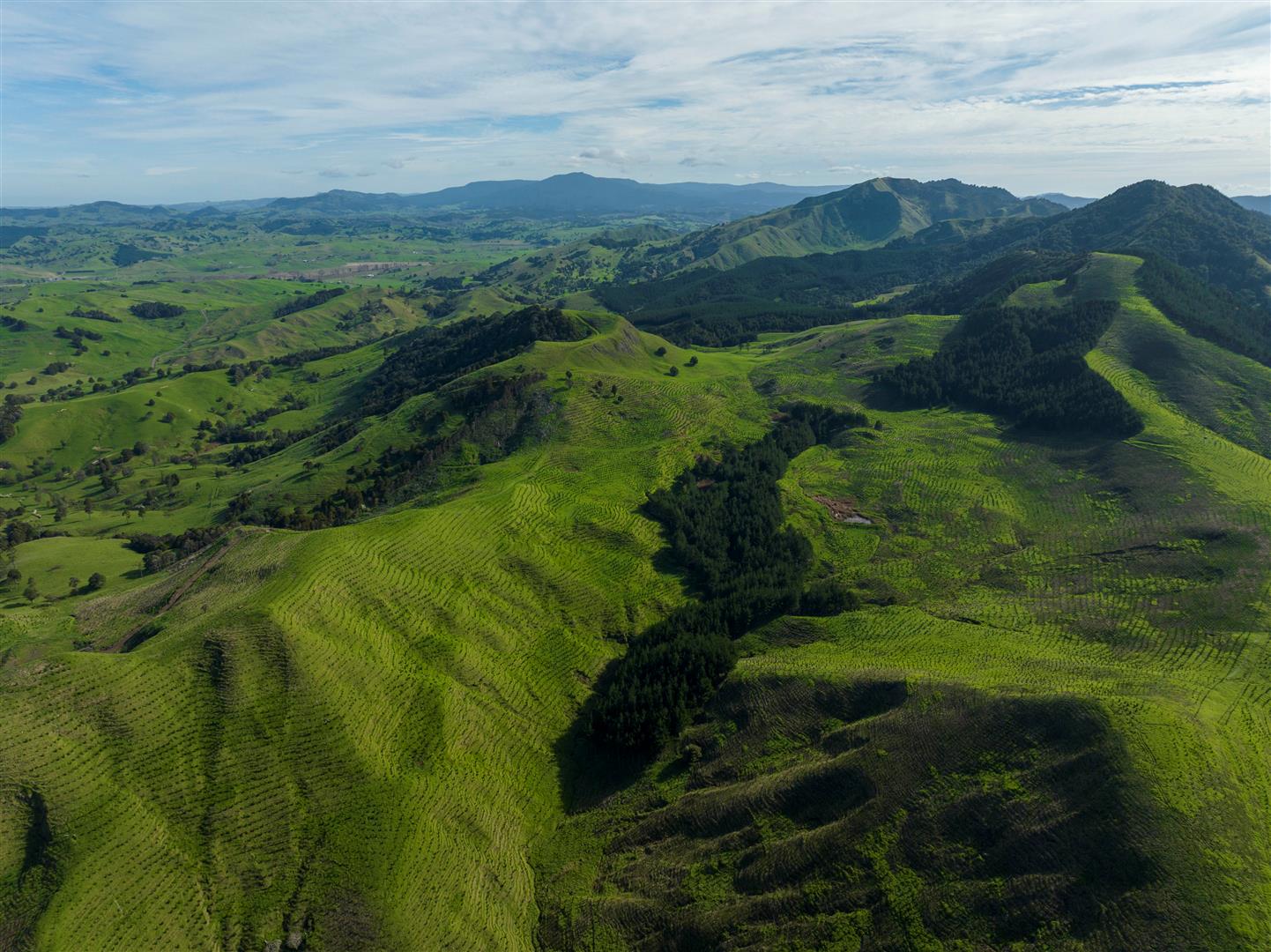 NZF Aggregation - UNDER CONTRACT