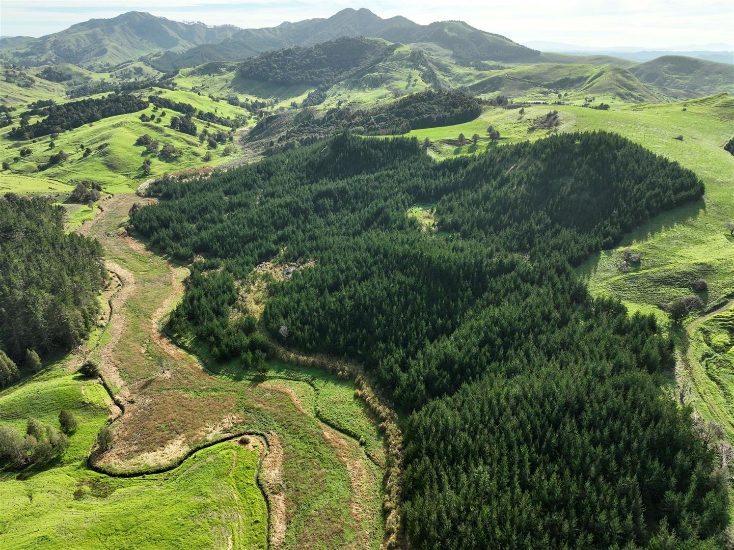 NZF Aggregation - UNDER CONTRACT