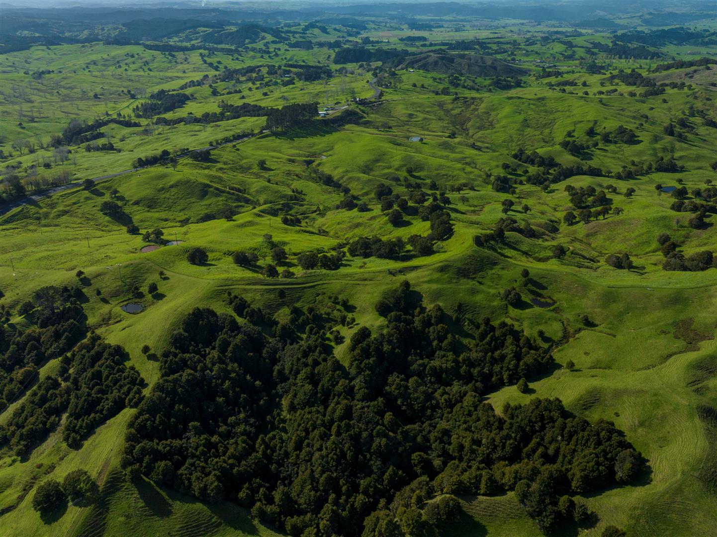 Paradise Forest - 232ha* NSA