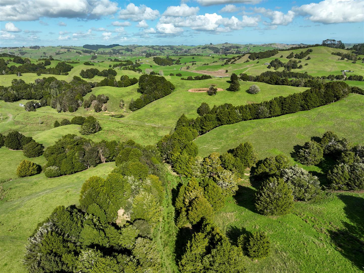 Paradise Forest - UNDER CONTRACT