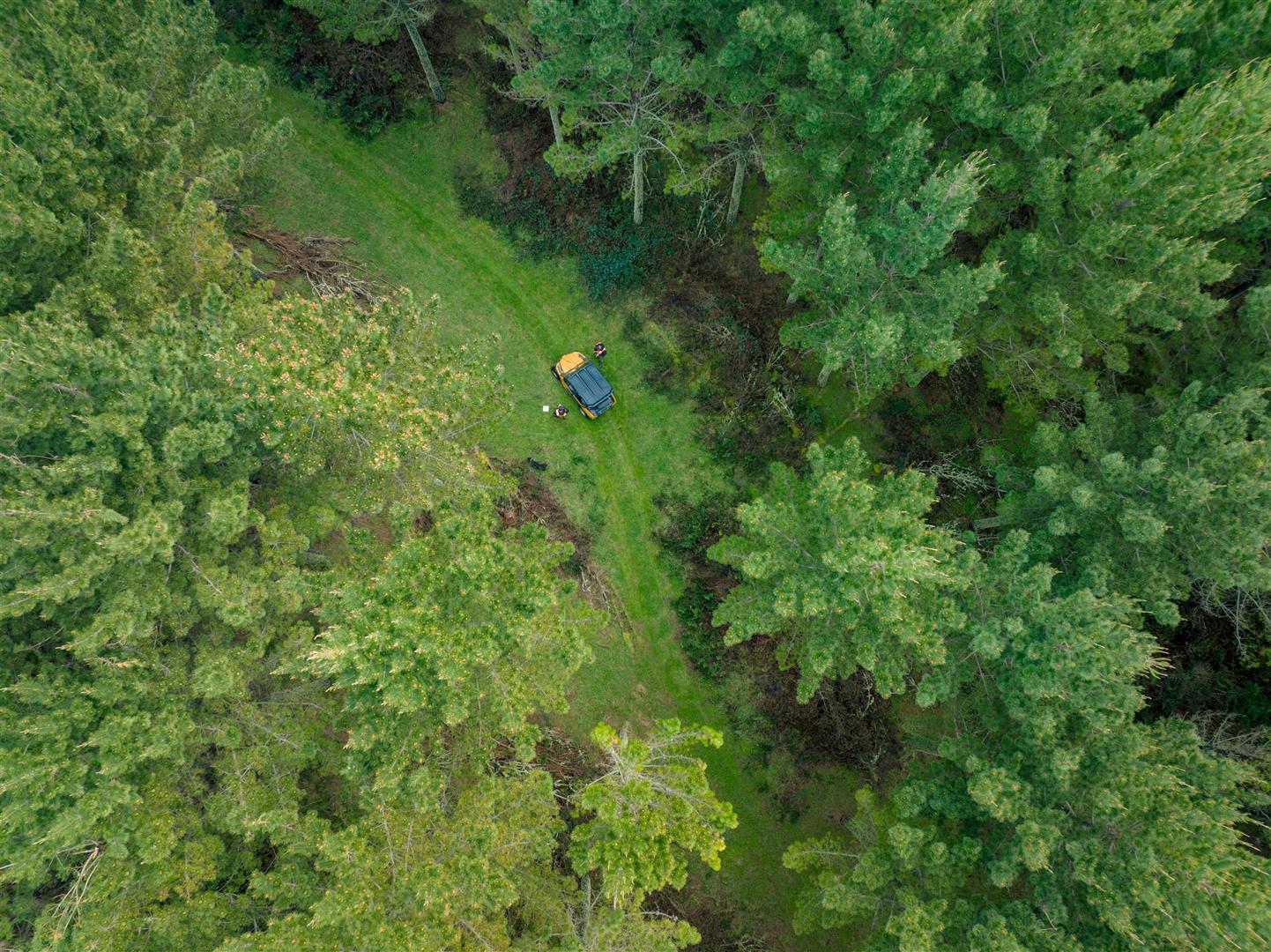 Hingarae Forest - UNDER CONTRACT