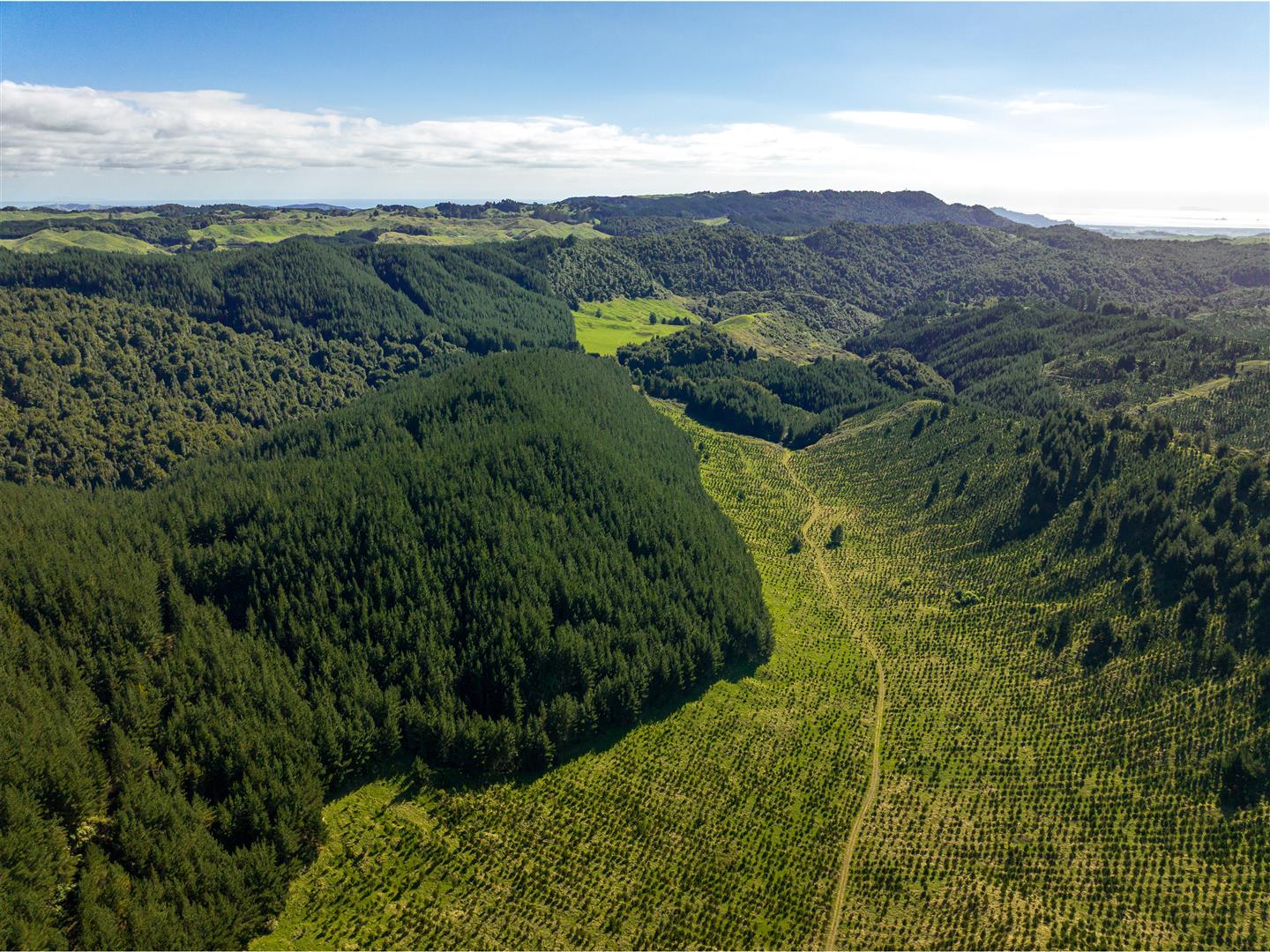 Manawahe Forest – 328 ha* NSA