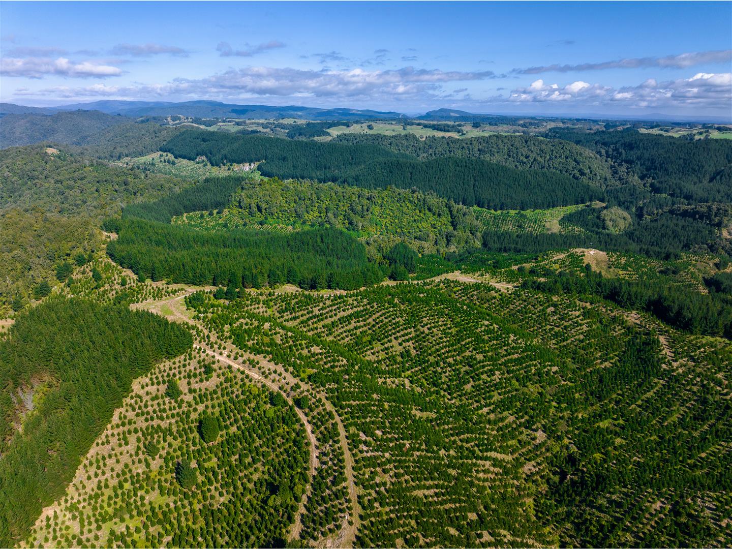 Manawahe Forest – 328 ha* NSA
