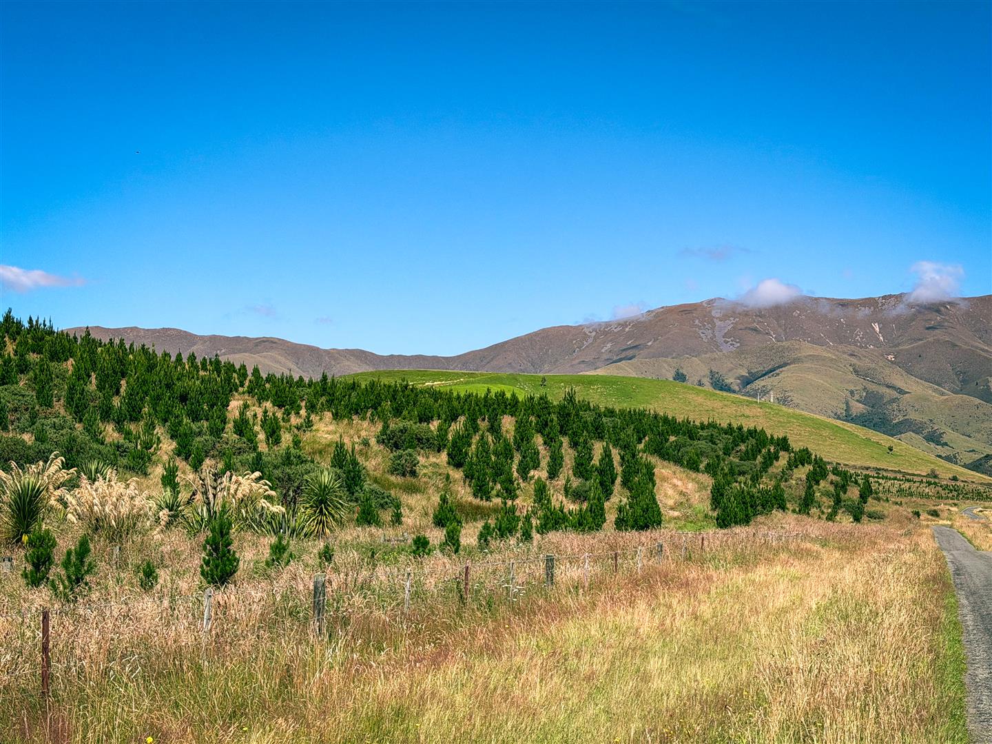Glenshee Forest – 404 ha* NSA