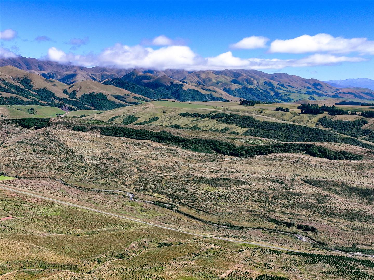 Glenshee Forest – 404 ha* NSA