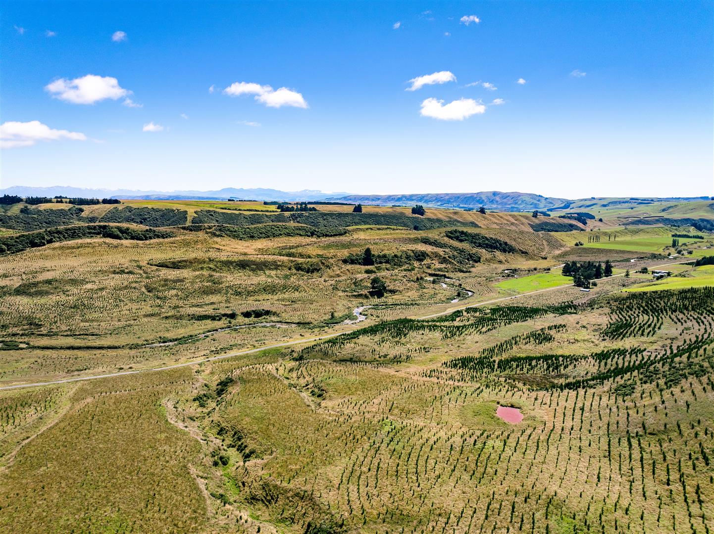 Glenshee Forest – 404 ha* NSA