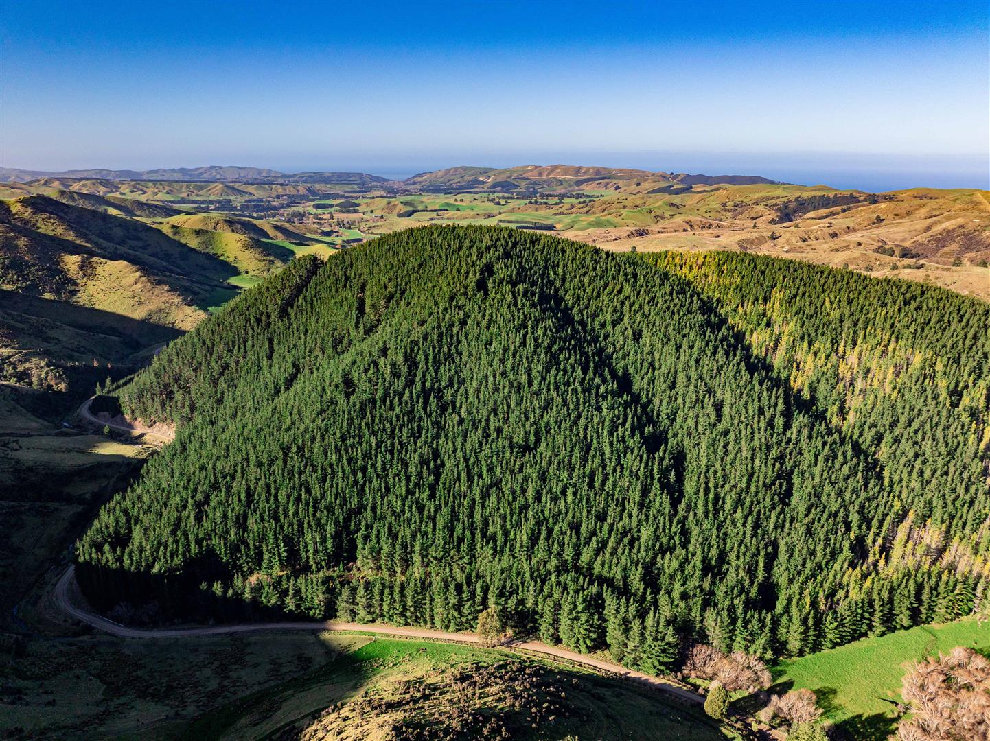 Blythe Forest – 82.3 ha* NSA