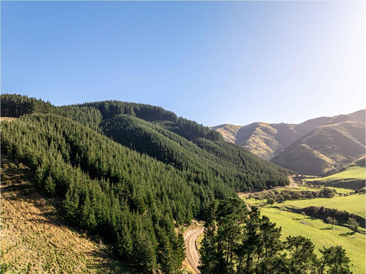 Blythe Forest – 82.3 ha* NSA