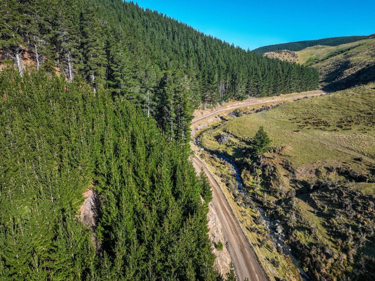 Blythe Forest – 82.3 ha* NSA