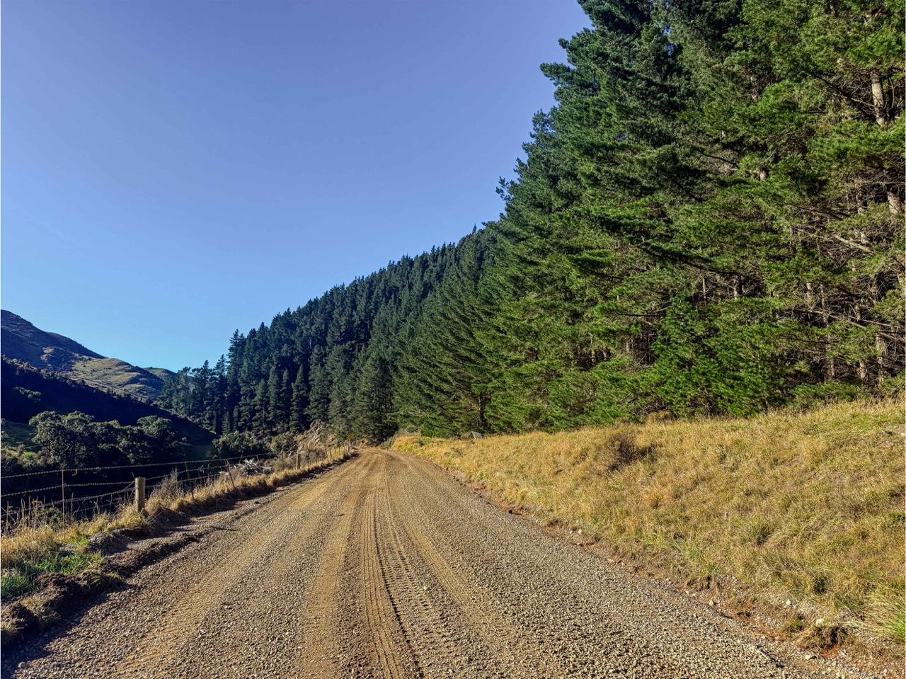 Blythe Forest – 82.3 ha* NSA