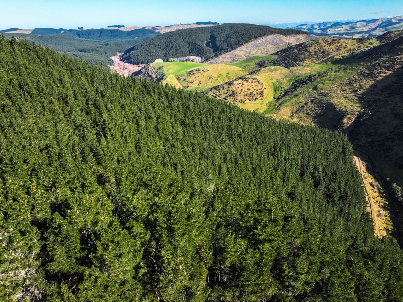 Blythe Forest – 82.3 ha* NSA