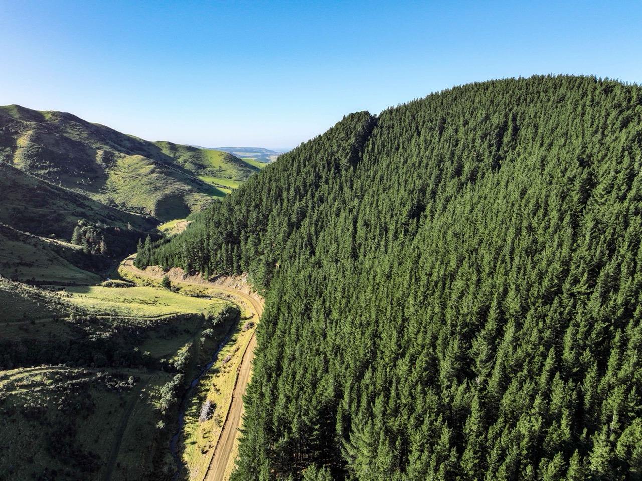 Blythe Forest – 82.3 ha* NSA