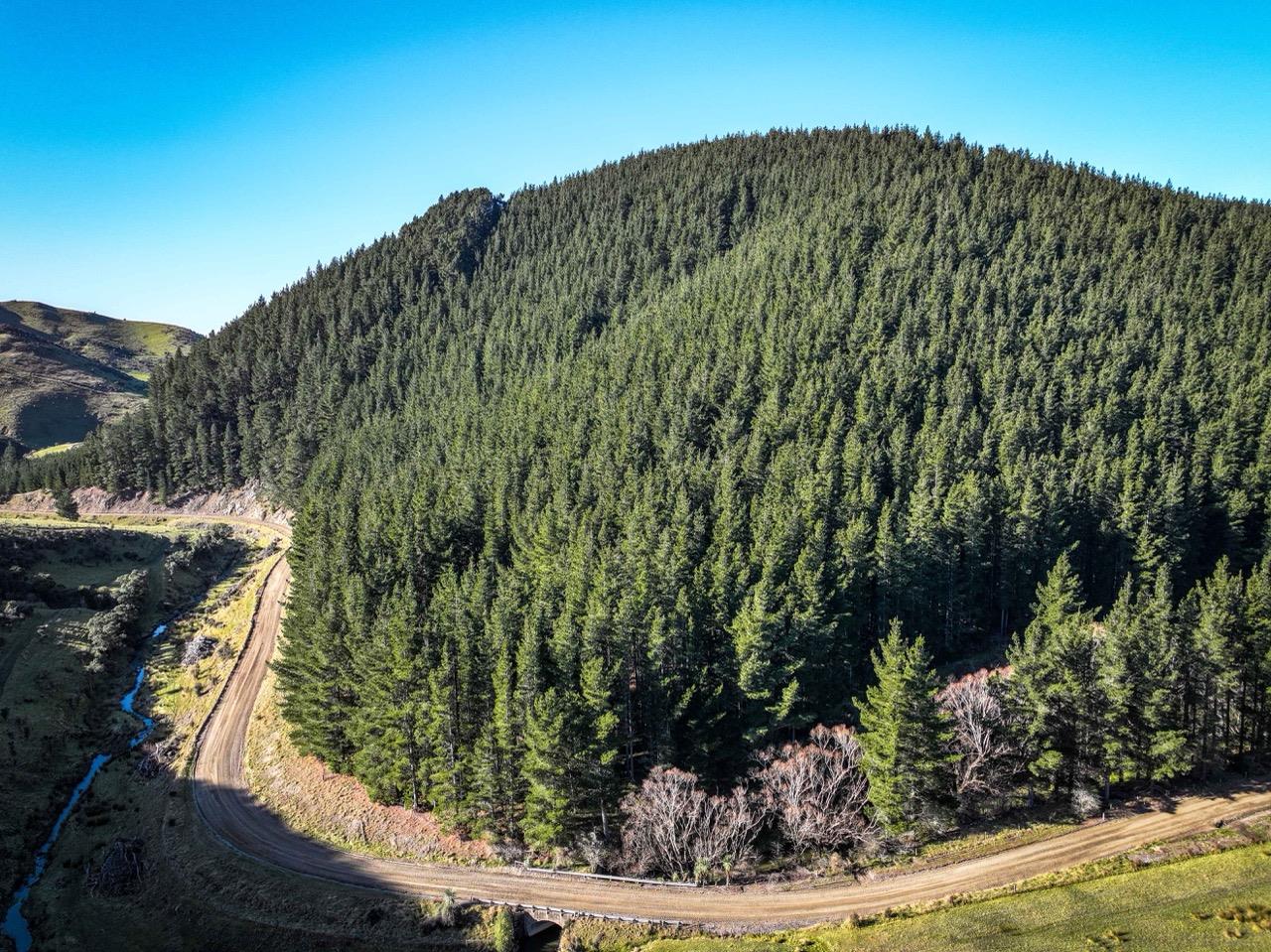Blythe Forest – 82.3 ha* NSA